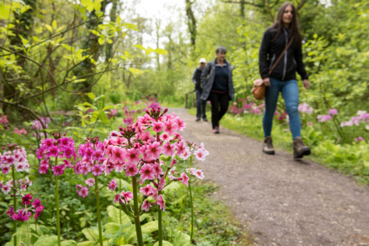 Fairhaven Woodland and Water Garden