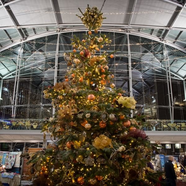 Elliott's Tree Switch On Visit Norwich