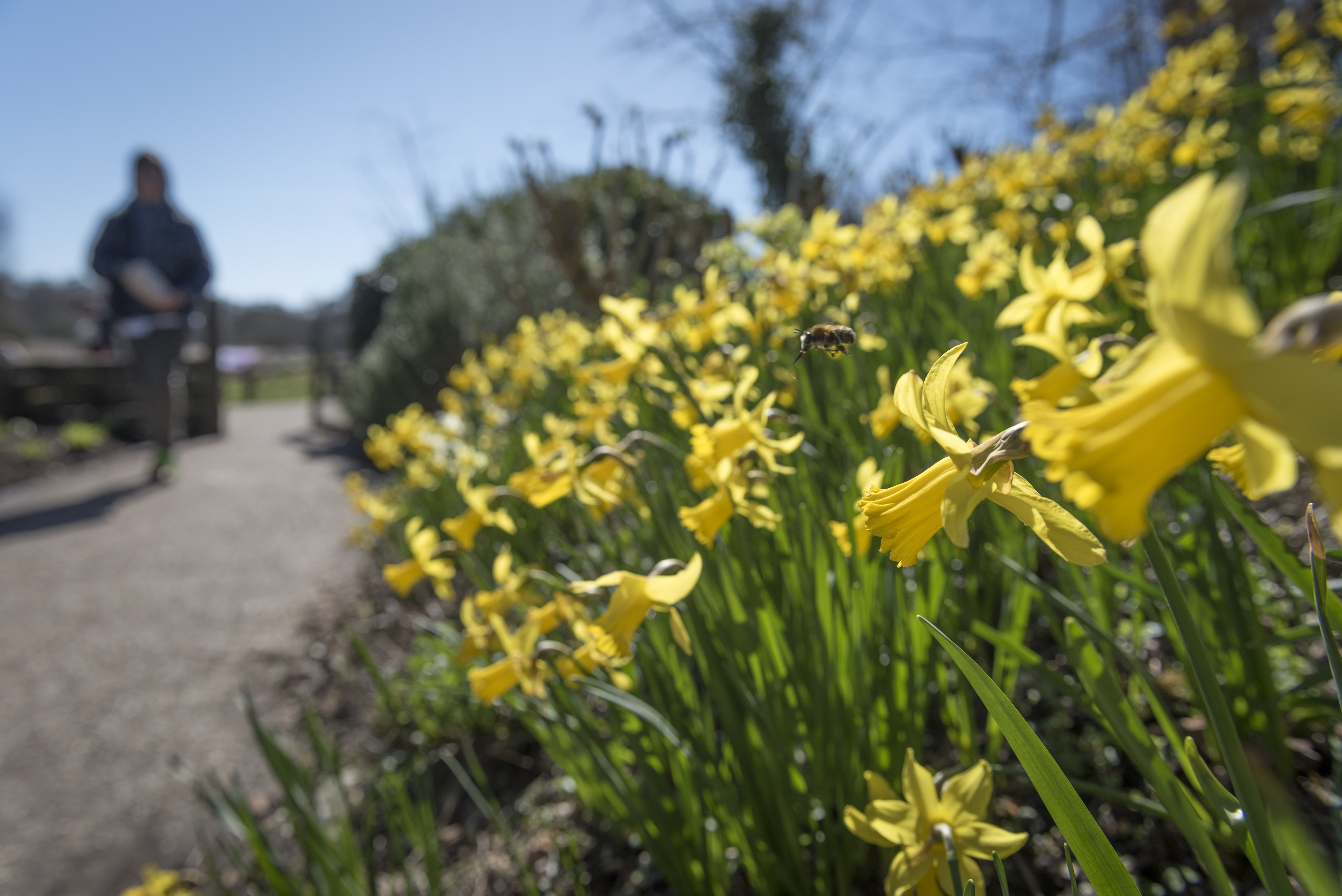 The Norfolk Garden Show 2023 Visit Norwich