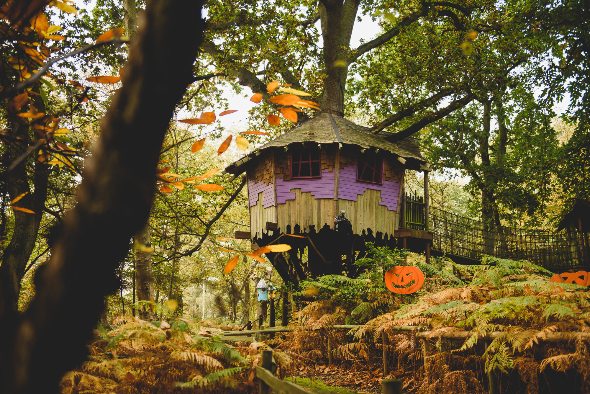 Halloween Events in Norwich & Norfolk 2021 Visit Norwich