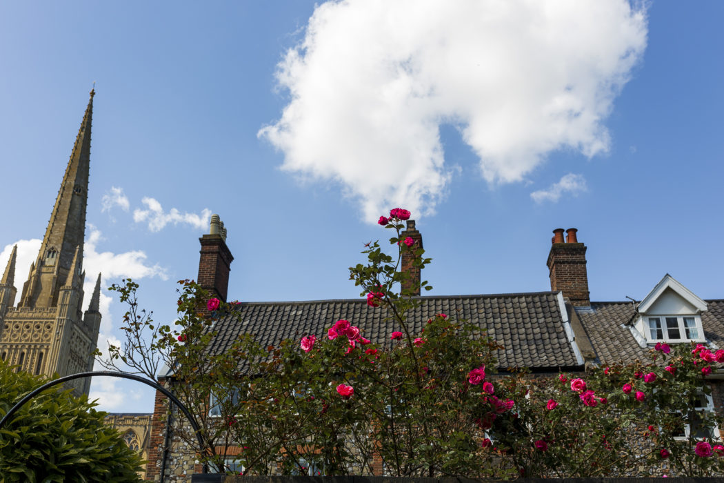 Norwich, the Florists’ Feast