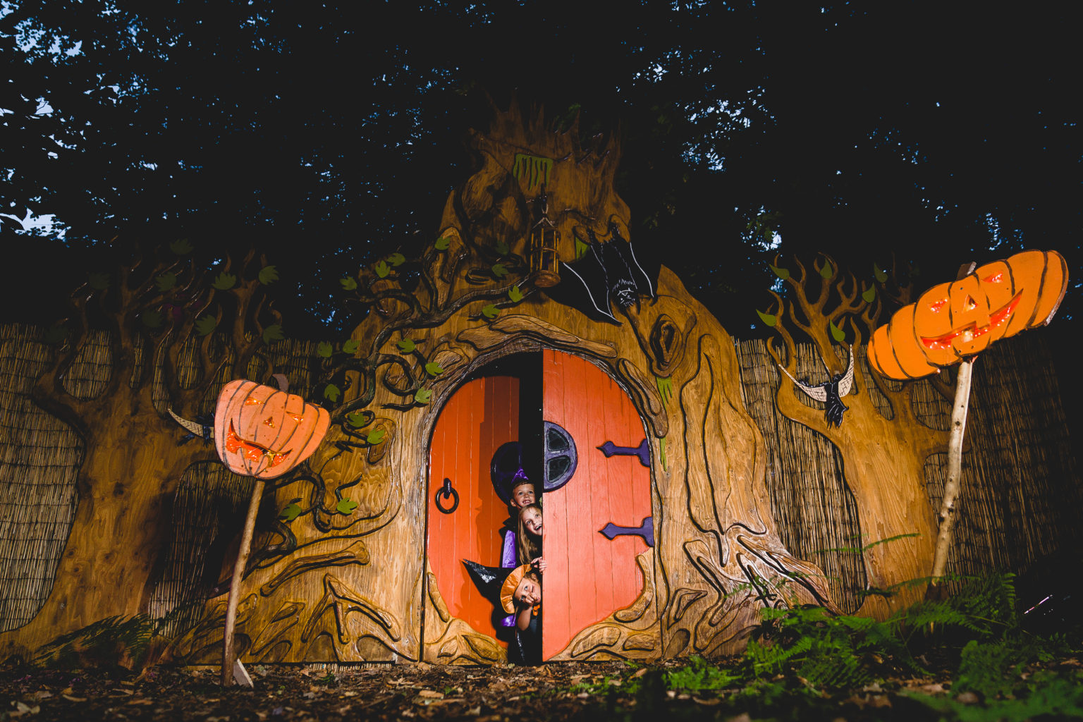 Halloween Events in Norwich & Norfolk 2021 Visit Norwich
