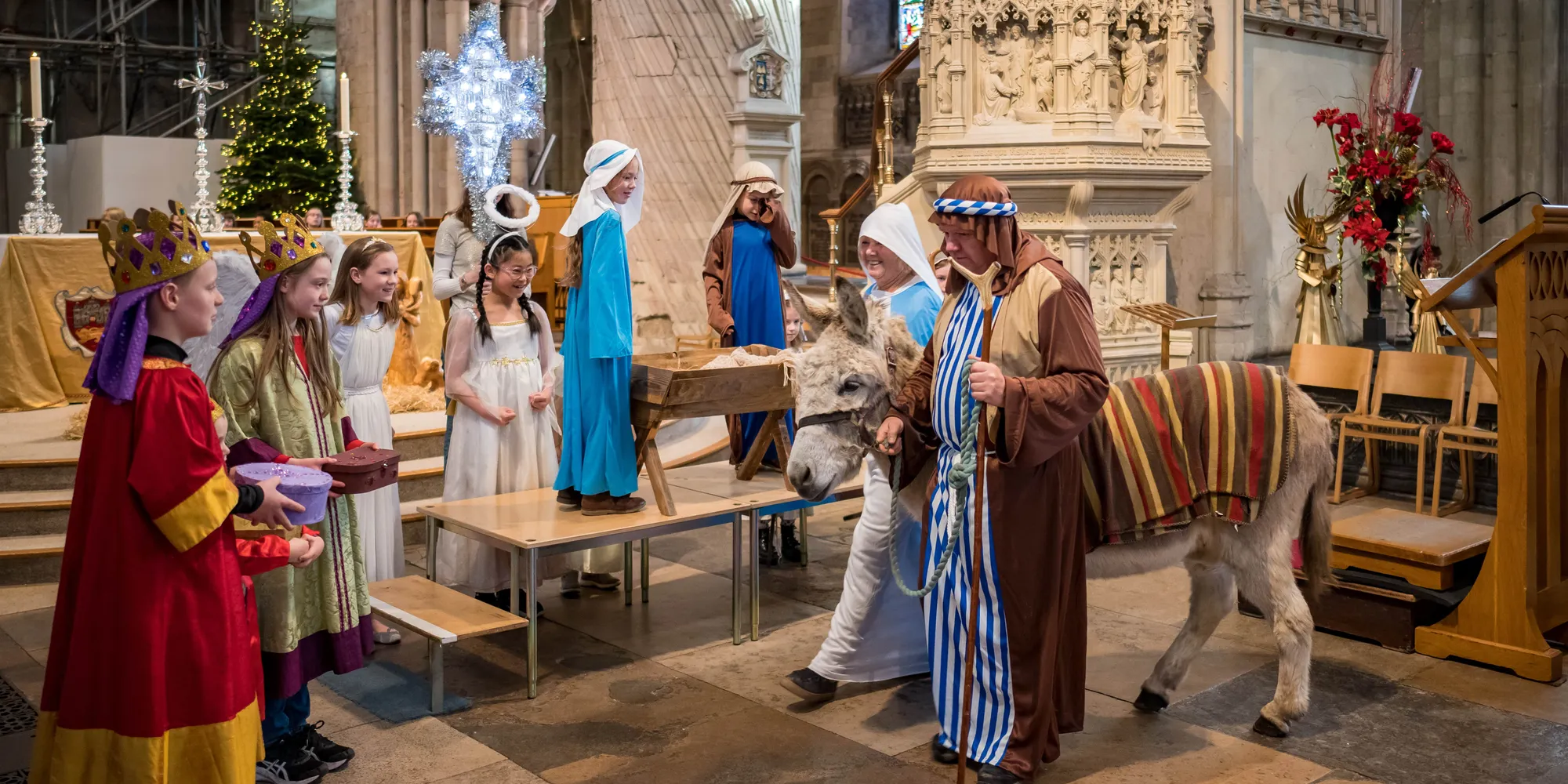 Crib Service Visit Norwich