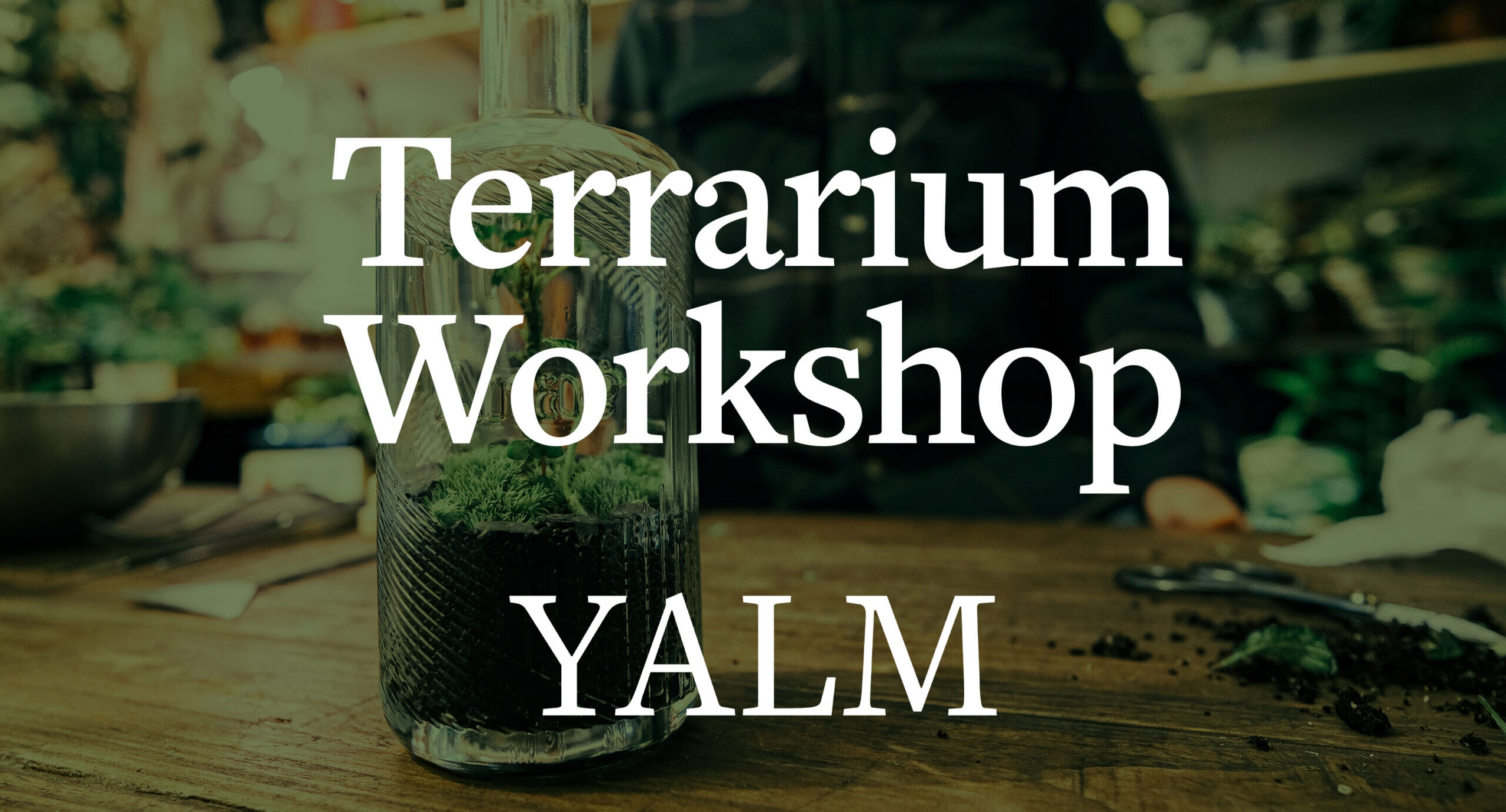 Terrarium Visit Norwich